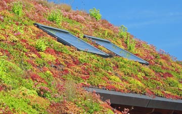 Bramcote Hills living roof systems