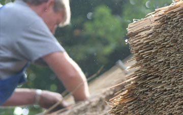 professional Bramcote Hills thatchers